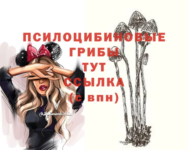 MDMA Богданович
